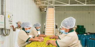 SE SOLICITA AYUDANTE DE PRODUCCIÓN PARA MEZCLA Y EMPAQUE DE PRODUCTOS, NO SE REQUIERE EXPERIENCIA
