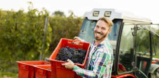 SE REQUIERE TRABAJADOR AGRÍCOLA PARA PREPARACIÓN DE TERRENO Y TRASLADO DE PRODUCTOS EN COSECHA