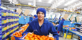 SE SOLICITA OPERARIO DE PRODUCCIÓN PARA EMPAQUE DE PRODUCTOS (TIEMPO COMPLETO)