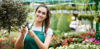 SE SOLICITA JARDINERO PARA MANTENIMIENTO DE PLANTAS EN INTERIORES Y EXTERIORES