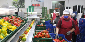 SE SOLICITA EMPACADOR PARA CONTROL DE CALIDAD Y ETIQUETADO DE PRODUCTOS, NO SE REQUIERE EXPERIENCIA