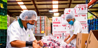 SE SOLICITA AYUDANTE DE PRODUCCIÓN PARA EMPAQUE DE PRODUCTOS (3ER TURNO DISPONIBLE)