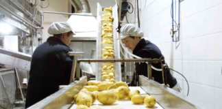 SE SOLICITA OPERARIO DE PRODUCCIÓN PARA FÁBRICA DE PAPAS (HOMBRE Y/O MUJER)
