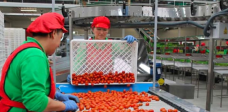 SE REQUIERE OPERARIO DE PRODUCCIÓN PARA ENVASADO Y ETIQUETADO DE ALIMENTOS (TURNOS DISPONIBLES)