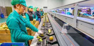 SE REQUIERE OPERARIO DE ENVASADO DE ALIMENTOS (HOMBRE Y/O MUJER)