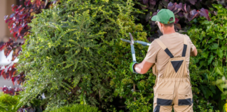 SE REQUIERE JARDINERO CON MÍNIMA EXPERIENCIA PARA PODA DE ÁREAS VERDES