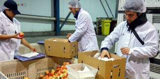 SE SOLICITA EMPACADOR DE ALIMENTOS PARA FÁBRICA, TIEMPO COMPLETO (SEGUNDO TURNO DISPONIBLE)