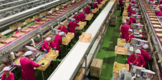 SE SOLICITA OPERARIO DE PRODUCCIÓN PARA ETIQUETADO Y ENVASADO DE PRODUCTOS (HOMBRE Y/O MUJER)
