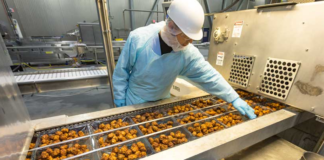 SE SOLICITA AYUDANTES DE PRODUCCIÓN PARA ETIQUETADO DE PRODUCTOS (MÍNIMA EXPERIENCIA), HORARIOS ROTATIVOS
