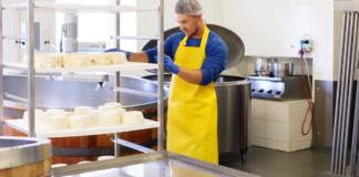 SE REQUIERE EMPACADOR DE QUESO PARA JORNADA DE TIEMPO COMPLETO (TURNOS DISPONIBLES)