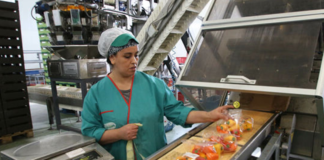 SE SOLICITA AUXILIAR DE EMPAQUE TEMPORAL PARA CONTROL DE ALIMENTOS