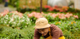 SE SOLICITA TRABAJADOR DE VIVERO PARA LABORES GENERALES (CON O SIN EXPERIENCIA)