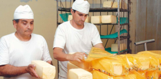 SE REQUIERE TRABAJADOR DE PRODUCCIÓN PARA CONTROL DE CALIDAD Y EMPAQUETADO DE PRODUCTOS