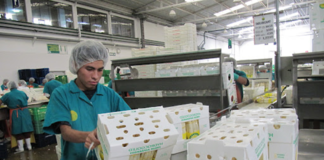 SE REQUIERE EMPACADOR CON O SIN EXPERIENCIA PARA CONTROL DE CALIDAD DE PRODUCTOS