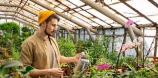 SE SOLICITA TRABAJADOR DE VIVERO CON MÍNIMA EXPERIENCIA PARA CUIDADO DE PLANTAS