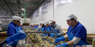SE REQUIERE OPERARIO DE ENVASADO PARA CLASIFICACIÓN DE PRODUCTOS (HOMBRE Y/O MUJER)