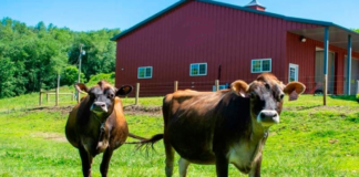 SE REQUIERE TRABAJADOR DE GRANJA PARA CUIDADO DE ANIMALES, ENTRE OTRAS LABORES GENERALES
