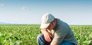 SE SOLICITA TRABAJADOR AGRÍCOLA PARA RIEGO Y RECOLECCIÓN DE PRODUCTOS EN COSECHA
