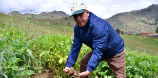 SE SOLICITA OPERARIO AGRÍCOLA PARA CONTROL DE PRODUCTOS EN COSECHA (HOMBRE Y/O MUJER)