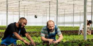 SE SOLICITA TRABAJADOR DE INVERNADERO PARA RIEGO Y CUIDADO DE PLANTAS