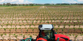 SE REQUIERE OPERADOR DE EQUIPOS AGRÍCOLAS CON MÍNIMA EXPERIENCIA PARA TRASLADO DE PRODUCTOS EN COSECHA