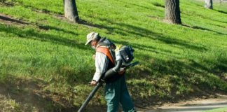 SE SOLICITA JARDINERO CON MÍNIMA EXPERIENCIA PARA MANTENIMIENTO DE CÉSPED