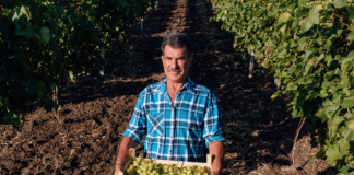 SE REQUIERE TRABAJADOR AGRÍCOLA PARA COSECHA DE VERDURAS (TURNO MAÑANA)