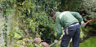 SE REQUIERE JARDINERO PARA INSTALACIÓN Y MANTENIMIENTO DE CÉSPED