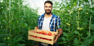 SE REQUIERE TRABAJADOR AGRÍCOLA PARA CLASIFICACIÓN Y CONTROL DE PRODUCTOS EN COSECHA