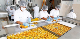 SE SOLICITA OPERARIOS DE PRODUCCIÓN PARA ENVASADO DE ALIMENTOS