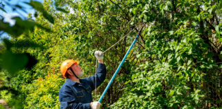SE REQUIERE JARDINERO CON O SIN EXPERIENCIA PARA CORTE DE CÉSPED