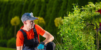 SE SOLICITA JARDINERO DE TIEMPO COMPLETO Y MEDIO TIEMPO