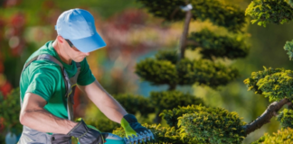 SE REQUIERE JARDINERO PARA PODA Y MANTENIMIENTO DE ARBUSTOS (TIEMPO COMPLETO Y MEDIO TIEMPO)