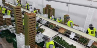 SE REQUIERE EMPACADOR DE ALIMENTOS PARA TRABAJAR DE LUNES A VIERNES