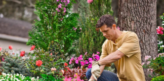 SE SOLICITA AUXILIAR DE JARDINERÍA PARA TURNO MAÑANA (MEDIO TIEMPO)