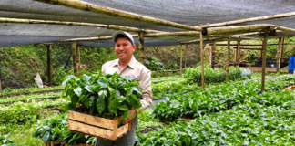 SE SOLICITA TRABAJADOR DE VIVERO PARA CUIDADO Y MANTENIMIENTO DE PLANTAS