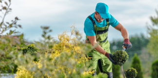 SE REQUIERE JARDINERO PARA MANTENIMIENTO Y RIEGO DE ÁREAS VERDES (TIEMPO COMPLETO)