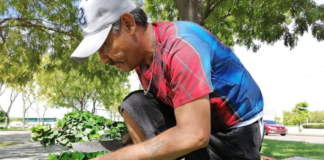 SE SOLICITA JARDINERO CON MÍNIMA EXPERIENCIA PARA MANTENIMIENTO DE ÁREAS VERDES