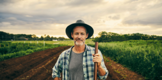 SE REQUIERE PEÓN AGRÍCOLA PARA COSECHA DE TRIGO (HOMBRE Y/O MUJER)