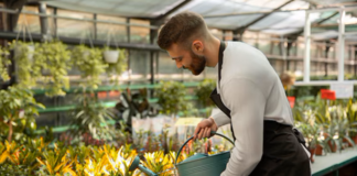 SE REQUIERE TRABAJADOR DE INVERNADERO CON O SIN EXPERIENCIA PARA CONTROL DE PLANTAS