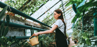 SE SOLICITA TRABAJADOR DE VIVERO PARA CUIDADO DE PLANTAS EN MACETA (CON O SIN EXPERIENCIA)