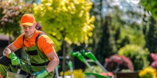SE SOLICITA JARDINEROS PARA PODA Y MANTENIMIENTO DE ÁREAS VERDES (LUNES A JUEVES)
