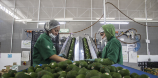 SE SOLICITA OPERARIO DE PRODUCCIÓN PARA FÁBRICA DE ALIMENTOS (HOMBRE Y/O MUJER)