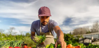 SE SOLICITA TRABAJADOR AGRÍCOLA PARA RECOLECCIÓN DE VERDURAS Y FRUTAS