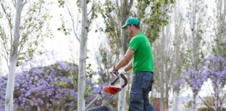 SE SOLICITA JARDINERO Y PERSONAL DE MANTENIMIENTO PARA LABORES GENERALES