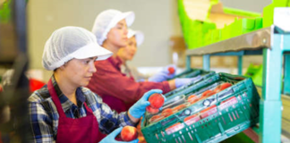 SE SOLICITA EMPACADOR DE ALIMENTOS PARA FÁBRICA (TURNOS ROTATIVOS)