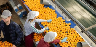 SE REQUIERE OPERARIO DE PRODUCCIÓN PARA LABORES DE EMPAQUE EN PLANTA DE ALIMENTOS