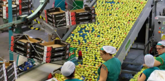 SE SOLICITA OPERARIO DE PRODUCCIÓN PARA ENVASADO DE ALIMENTOS (LUNES A VIERNES)