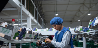 SE SOLICITA EMPACADOR PARA EMBALAJE DE MERCADERÍA (TURNO DIURNO)