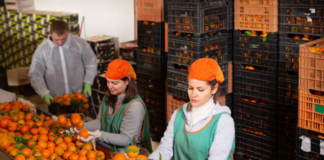 SE SOLICITA OPERARIO DE ENVASADO PARA FÁBRICA DE ALIMENTOS (TURNOS ROTATIVOS)